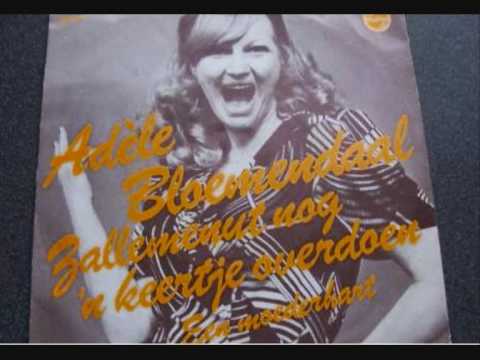Zallemenut nog 'n keertje overdoen cover