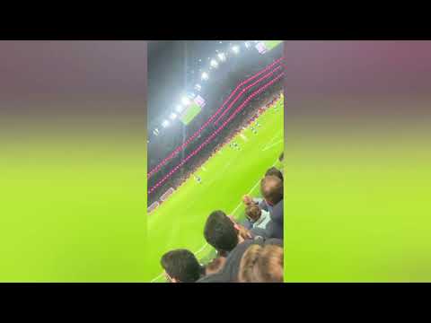 Ivan Toney, You Should Have Cashed Out | Ivan Toney Chant By Tottenham Fans | Tottenham Vs Brentford