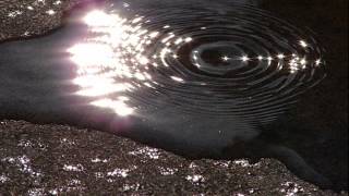 Robert Hiley -Peer Pressure ( trust)