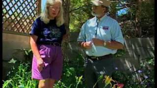 How To Turn A Steep Backyard Into A Terraced Garden