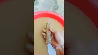 Download lagu Gery saluut # shorts #oddlysatisfying #viral #satisfyingvideos #tranding mp3