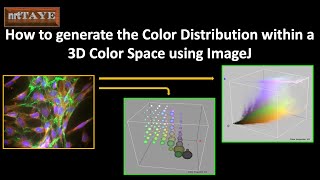 How to generate the Color Distribution within a 3D Color Space using ImageJ