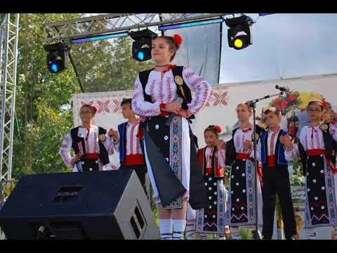 3 Madalina Ifrim   Scoala, scoala, gazda bunapozitiv