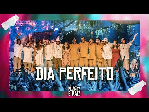 Dia Perfeito - Acústico Planta & Raiz  2022 - Ao Vivo em SP
