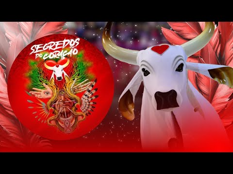 BOI GARANTIDO: LANÇAMENTO DO ÁLBUM 2024