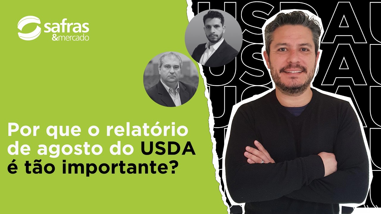 Como o mercado espera o importante relatório de agosto para soja, milho e trigo? - Pré-USDA