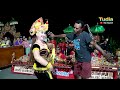 Nabung Dulu Bunganya Nanti Kebun Jagung