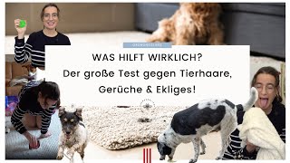 Hundehaare, Katzenhaare und Tiergerüche effektiv beseitigen - Was funktioniert wirklich?!