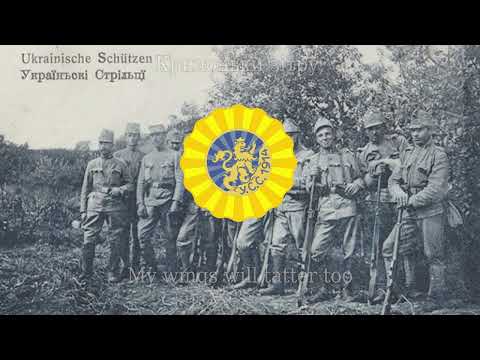 Ukrainian Sich Riflemen Song: Журавлі - Zhuravli (English Lyrics)