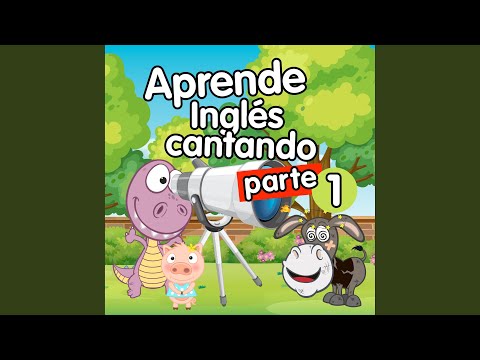 Las partes del cuerpo en ingles