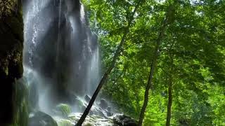 Download lagu Morning Sunlight Nature Video | Beautiful Sunrise & The Flowers No Copyright Video mp3 Download lagu Morning Sunlight Nature Video | Beautiful Sunrise & The Flowers No Copyright Video mp3
