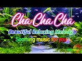 Beautiful Cha Cha Cha Relaxing Instrumental 2024 Latin Cha Cha Melody Soothing Music For You
