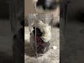 Magic Bullet  Blender demo