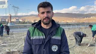 buyuksehirden kentin yesil alan varligina destek 3 bin 200 fidan toprakla bulustu