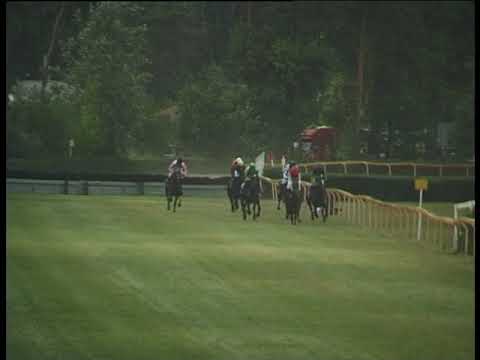 LL, 6. 7. 2019, 8. dostih - PROUTĚNÉ PŘEKÁŽKY AUTO OPAT