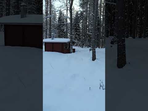 Isokoski, Vimpeli. 26.2.2023.