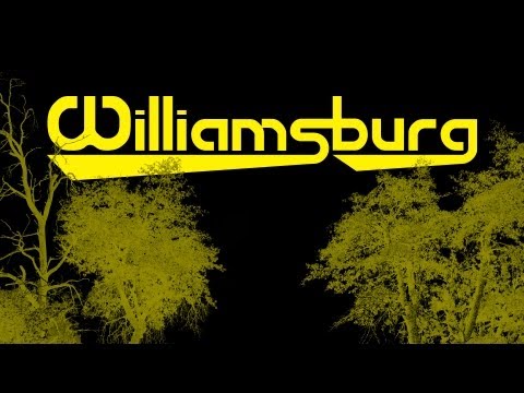 bridges and powerlines - Williamsburg
