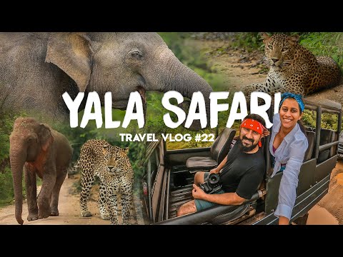 Yala National Park