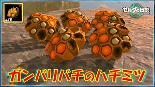 【ゼルダの伝説ティアキン】「ガンバリバチのハチミツ」を5個回収できる場所2か所を紹介！10個回収できます！