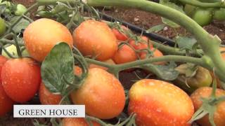 Download the video "Green House Farming 2"