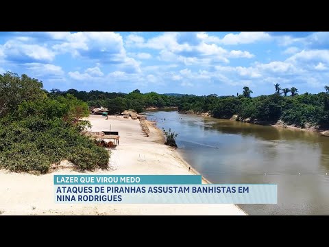 Praia em Nina Rodrigues é interditada pós ataques de piranhas a banhistas