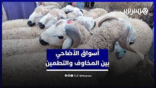 بين غلاء الأعلاف وتفاؤل "الكسابة".. إقبال مبكر على أسواق الأغنام وترقب لأسعار أضاحي العيد thumbnail