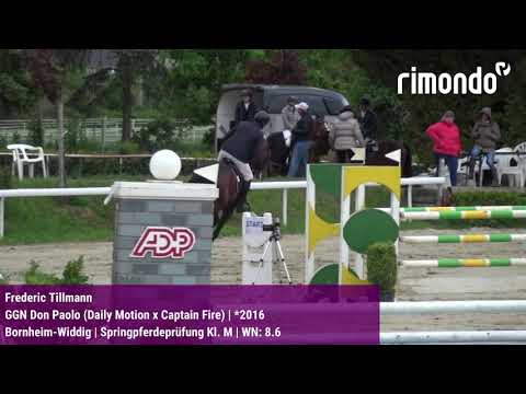 Qualifikation zum Bundeschampionat der 5-jährigen Springpferde in Bornheim-Widdig 2021