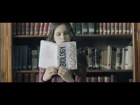 EUCLID´S BOX  - GEOMETRY IN YOUR HANDS