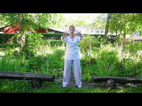 Qigong 5 Minutes a day -  Liver and Spleen and Stomach