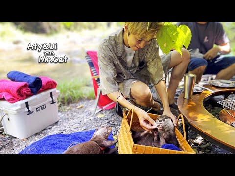 Otters Enjoy Private Camping with Actors [Otter Life Day 784]
