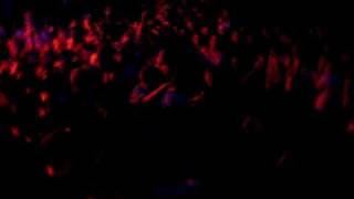 every avenue- freak out!