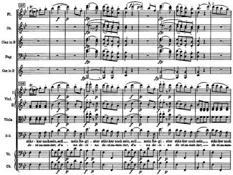 Mozart: Don Giovanni-"Fin ch'han dal vino" with Orchestra, 2x{SCORE}