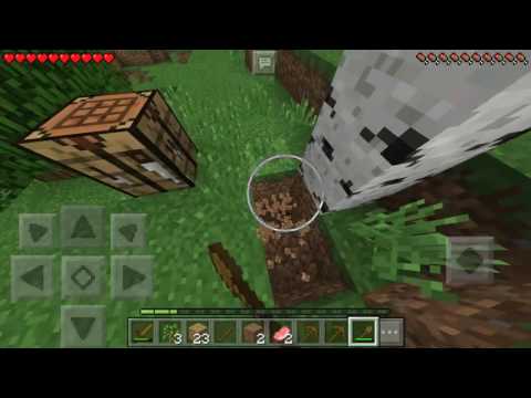 Survival let's play Minecraft ep 1 PE