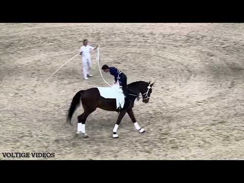 FEI Vaulting World Cup Final Basel 2024 - Lukas Heppler SUI - Tech Test