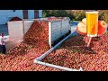 Farmers Use Farming Machines You've Never Seen - Most Advanced Agriculture Machines ▶1