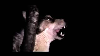 Мечи дири 5 ти епизод