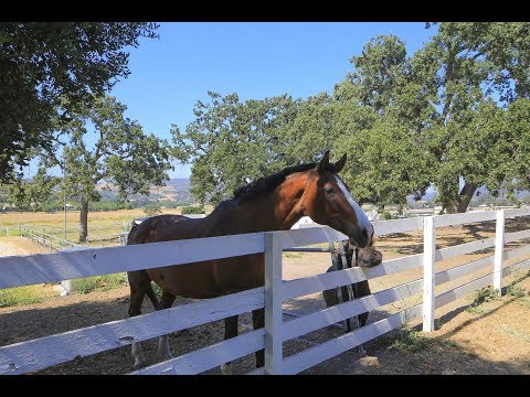 1430 Hidden Valley Road | Thousand Oaks - The Agency