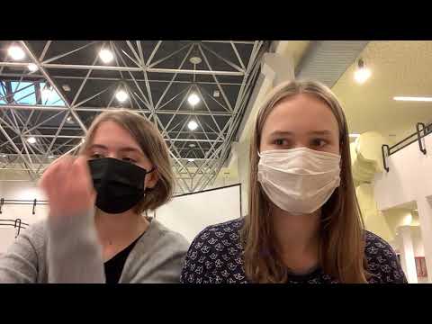 Die Arbeit der Vertrauensschüler