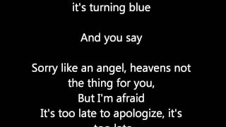 Apologize (From The Voice Belgique) Roberto bellarosa