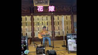 花嫁#はしだのりひこカバー #歌ってみた #男が歌う #ギター #アレンジカバー #弾き語り #昭和歌謡カバー