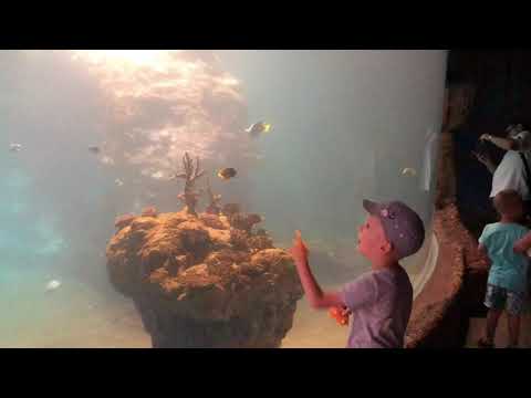 Afrykarium w zoo Wrocław