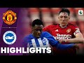Manchester United vs Brighton | U21 Premier League 2 | Highlights 08-04-2024