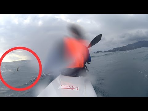 Squalo? downwind con inquietanti pinne