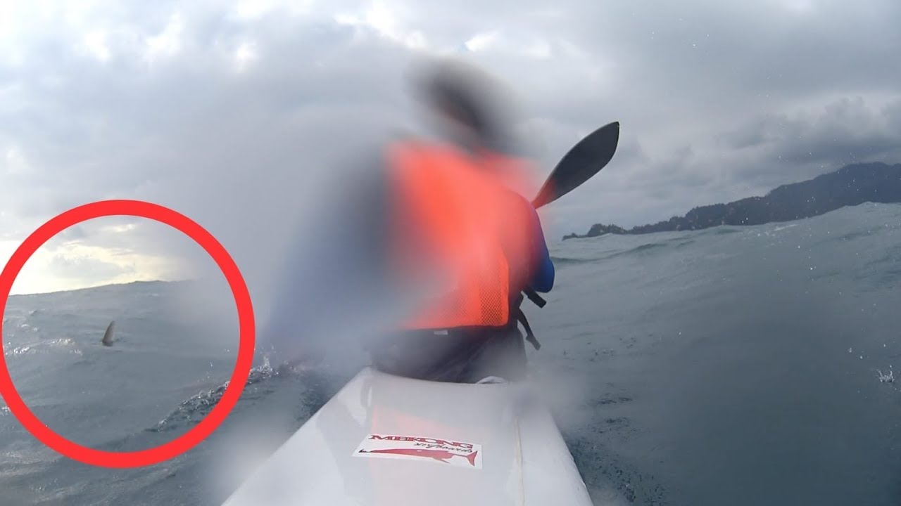 Squalo? downwind con inquietanti pinne