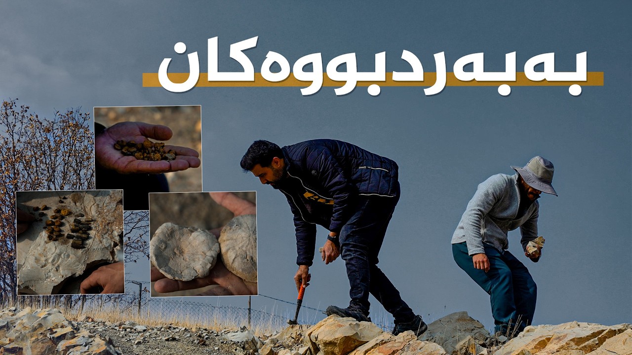 ڤیدیۆ | بەبەردبووەکانی کوردستان: تۆماری مێژووی دەیان ملیۆن ساڵ