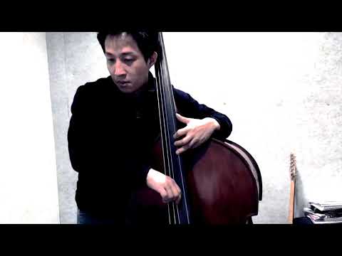Larry Grenadier - No Moon At All (bass cover) Jeegug
