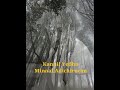Kannil Yedho Minnal Poovilangu Ilaiyaraaja Sjanaki Sjanakisongs