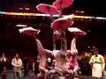 Ringlin Bros 2008