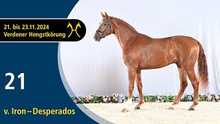 Video von Hengst von Iron / Desperados