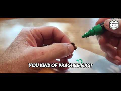 Marking Queen Bees: A Step-by-Step Guide On How To Safely Use a POSCA or Paint Pen to Mark Queens
